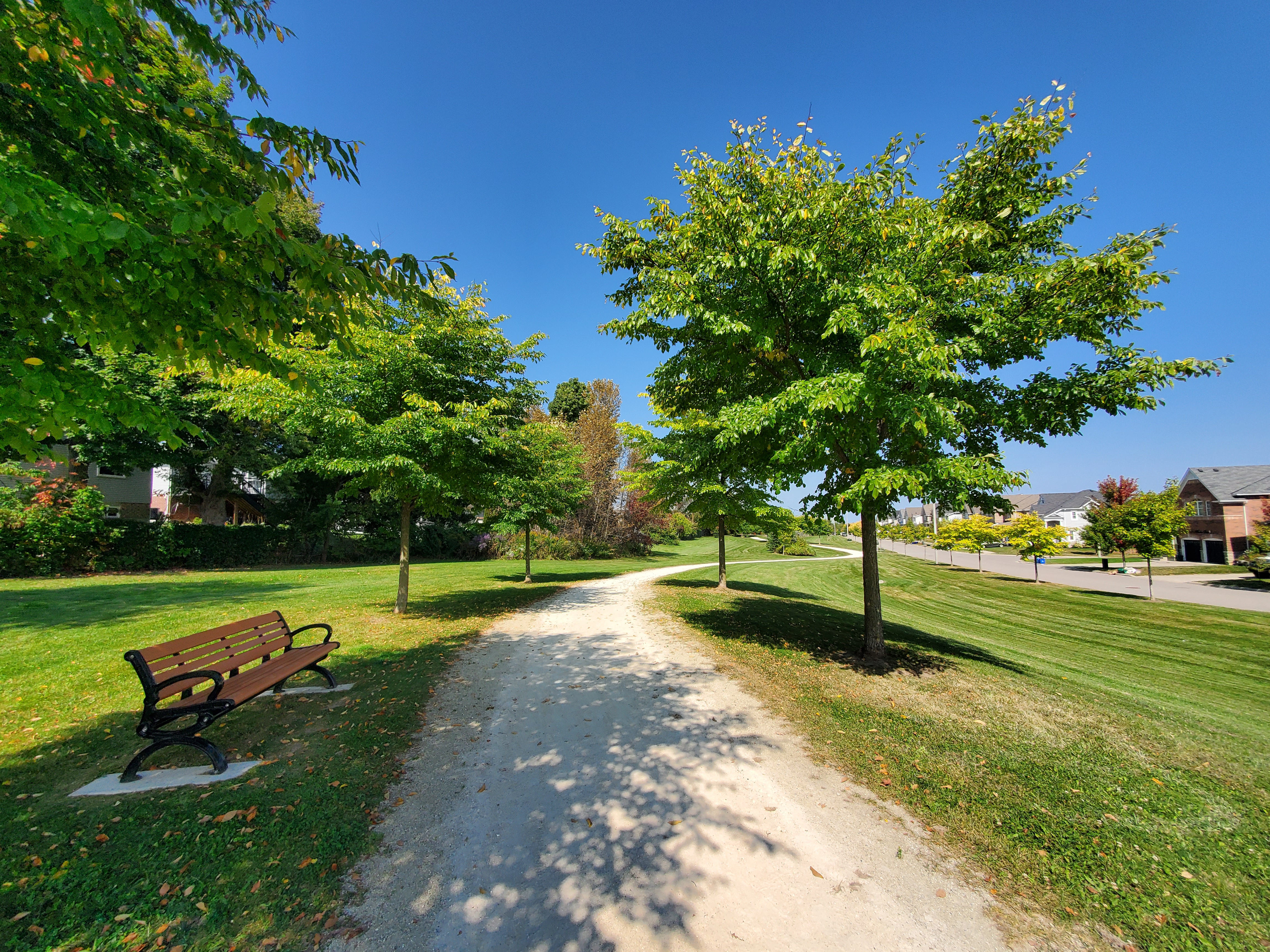Trail on Morden Drive in Shelburne Ontario with Bench and Trees