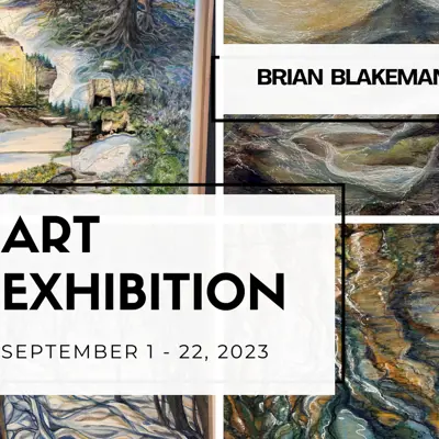 Northern Perspectives by Brian Blakeman