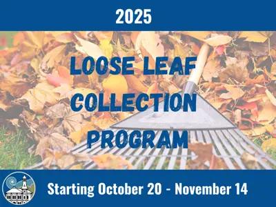 2025 Loose Leaf Program