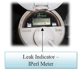 Iperl Water meter water usage