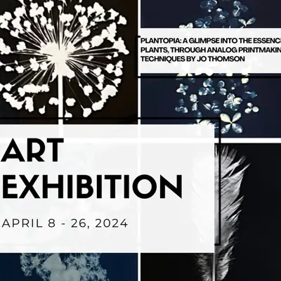 Art Exhibit by Jo Thomson