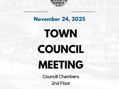 Council Meeting In Person November 24, 2025