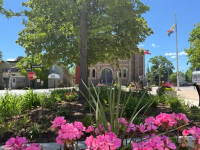 View of Town Hall From Jack Downing Park