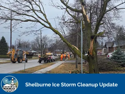 Development & Operations Staff Cleaning up Fallen Trees