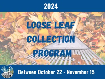 Loose leaves with a rake 