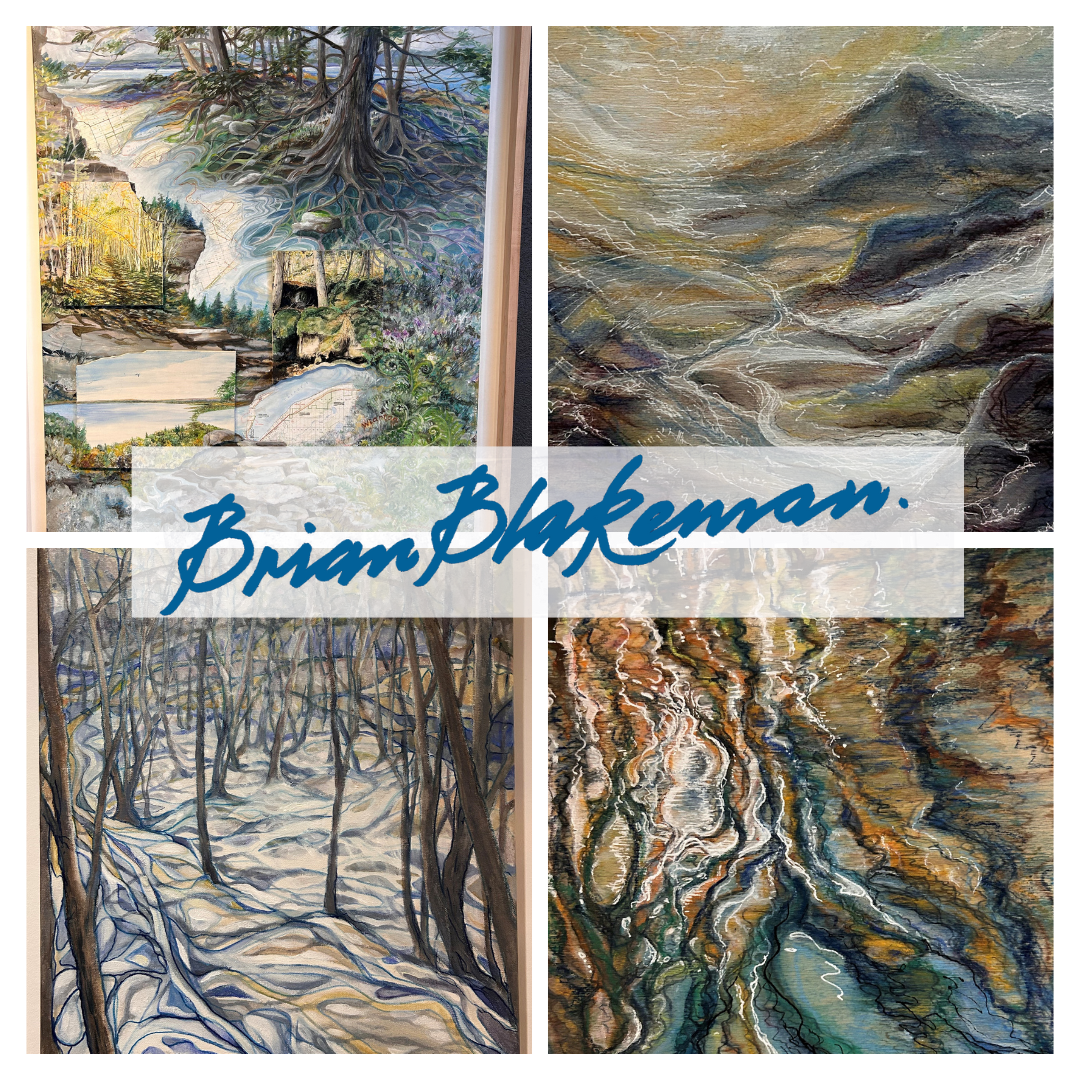 Brian Blakeman Art Show