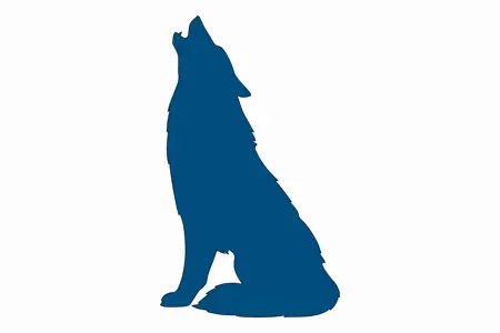 Coyote icon