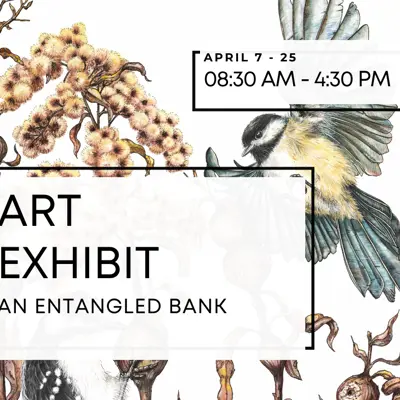 An Entangled Bank - Wendy Van Drunen April Exhibit