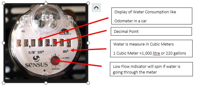 Sensus Water meter display showing water usage