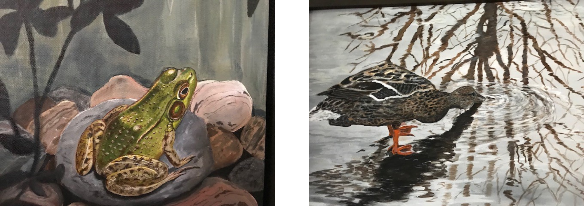 Tracy Smith Fine Arts: Ontario Landscape & Wildlife